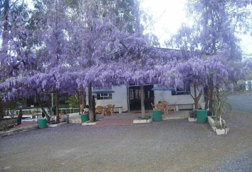 Сельский отель Harry World Parque