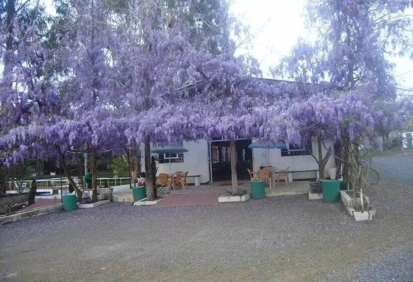 Maaseutuhotelli Harry World Parque