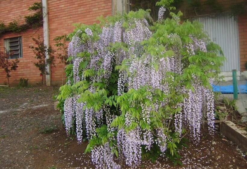 Сельский отель Harry World Parque