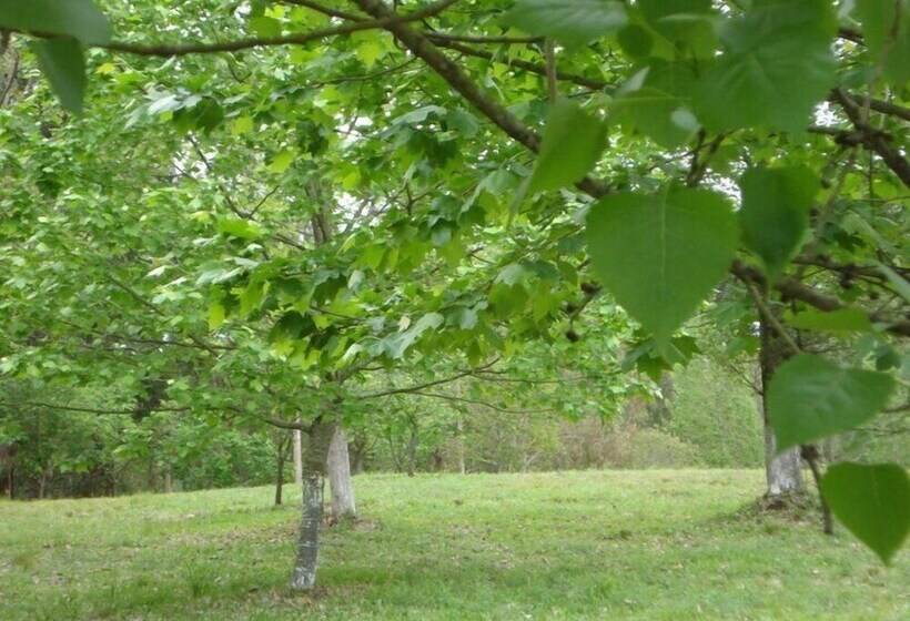 Сельский отель Harry World Parque