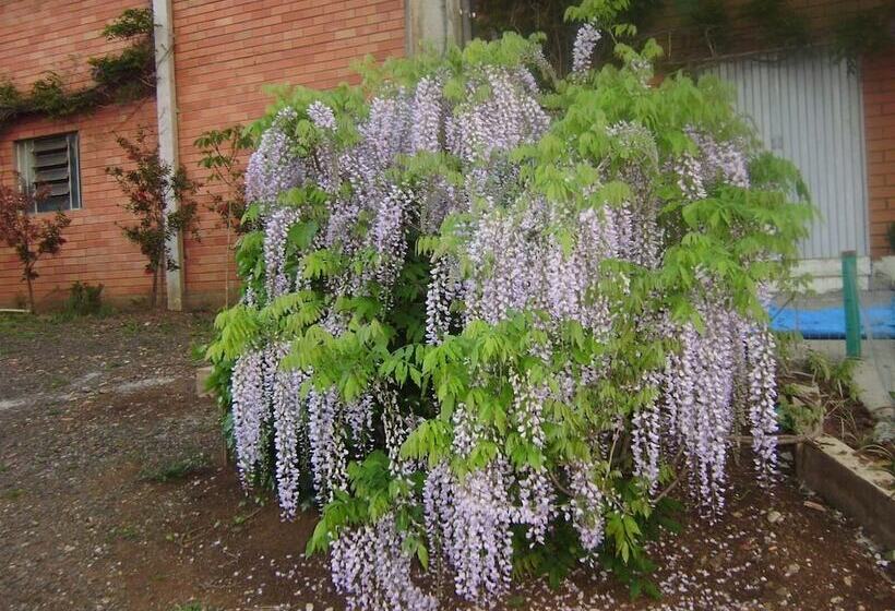 Сельский отель Harry World Parque