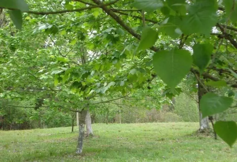 Maaseutuhotelli Harry World Parque