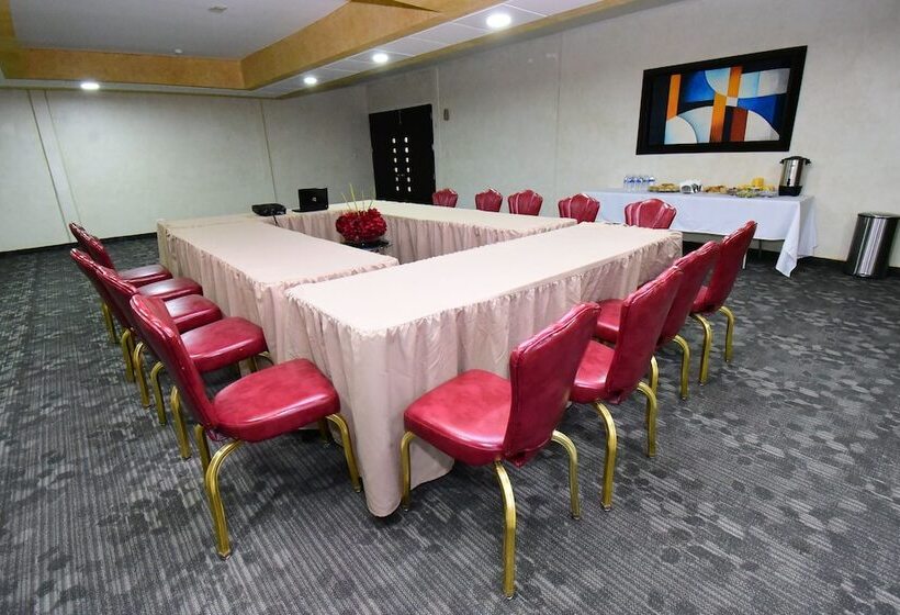 Los Cedros Hotel Inn Torreon