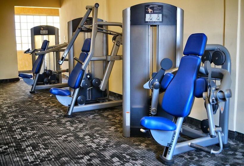 Los Cedros Hotel Inn Torreon