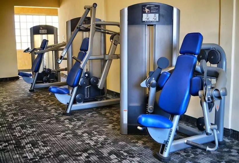 Los Cedros Hotel Inn Torreon