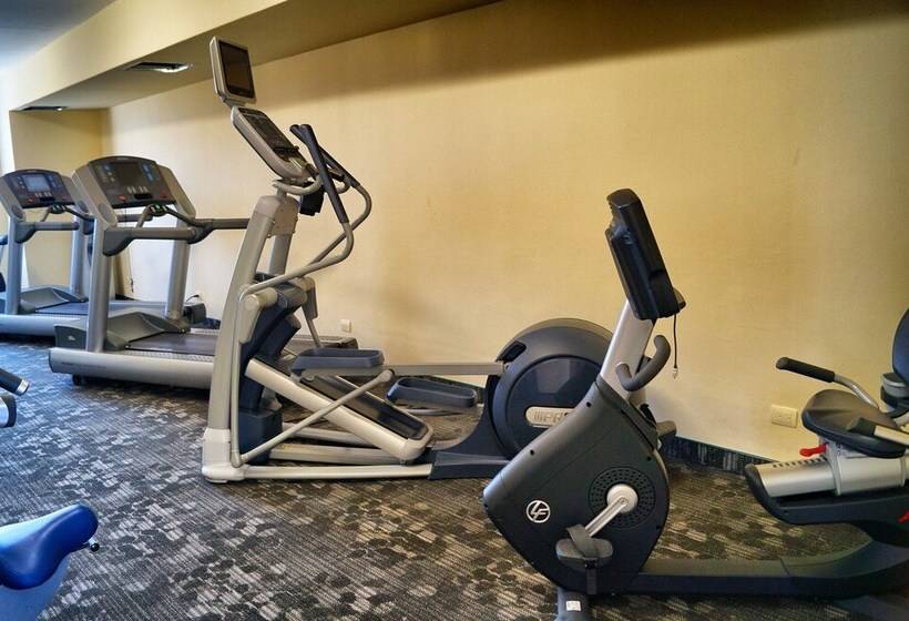 Los Cedros Hotel Inn Torreon