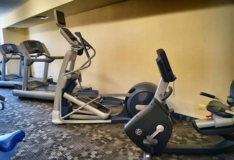 Los Cedros Hotel Inn Torreon