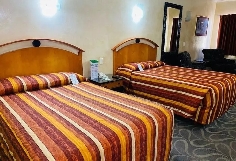 Los Cedros Hotel Inn Torreon