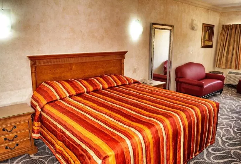 Los Cedros Hotel Inn Torreon