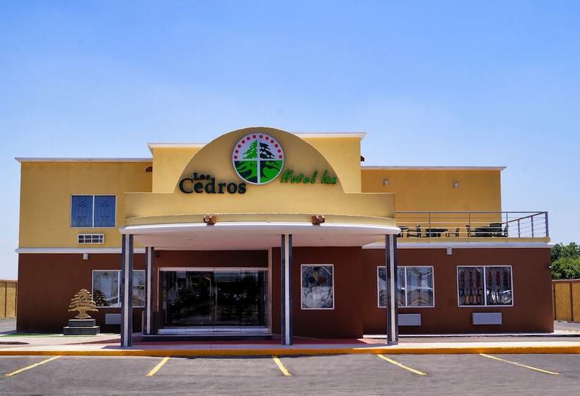 Los Cedros Hotel Inn Torreon