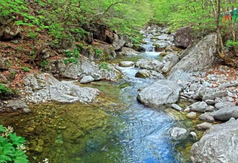 Gapyeong Dorothy Pension