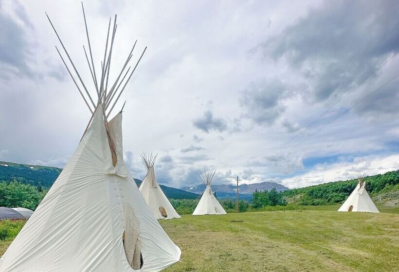 Glacier Grizzly Resort   Glamping