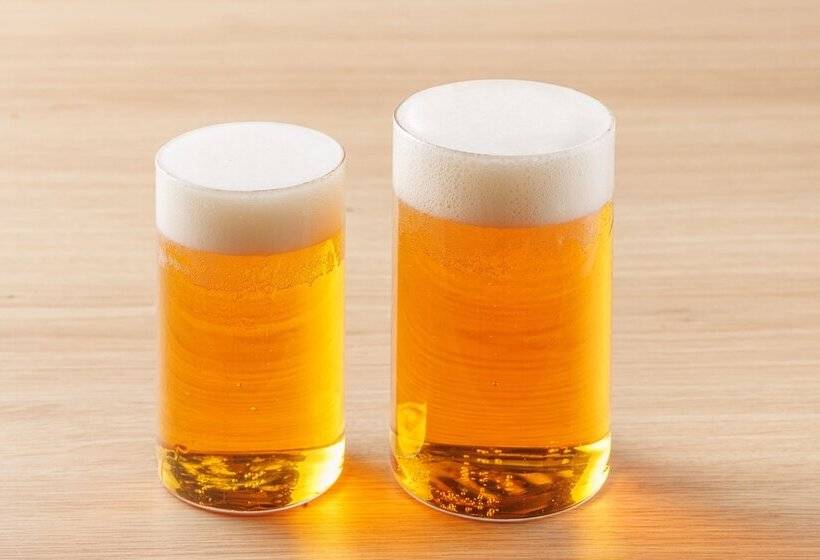 Hôtel Aratashi Minakami