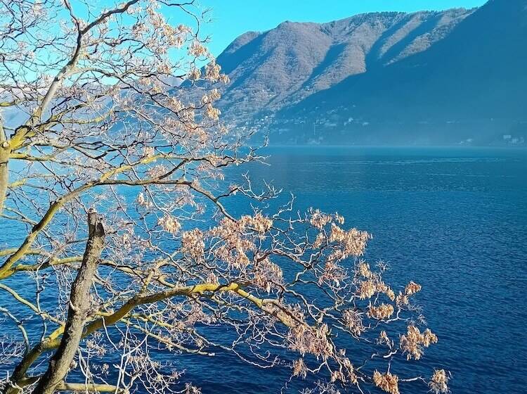 Hotel The Convo Lake Como