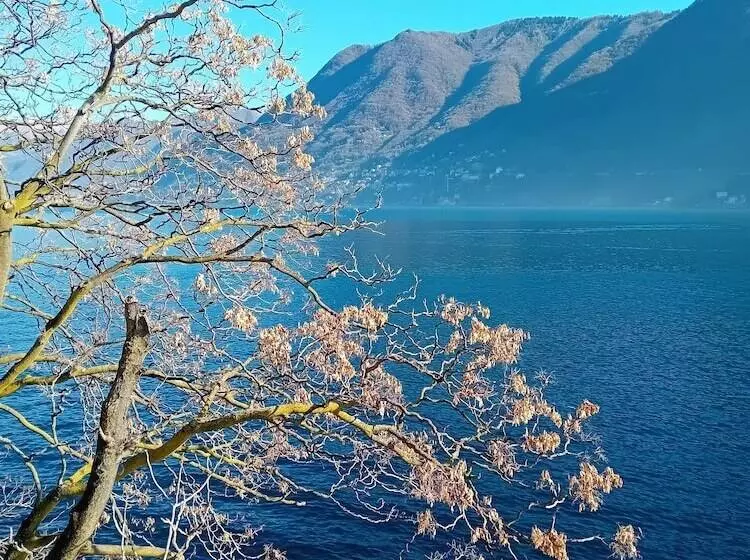 هتل The Convo Lake Como