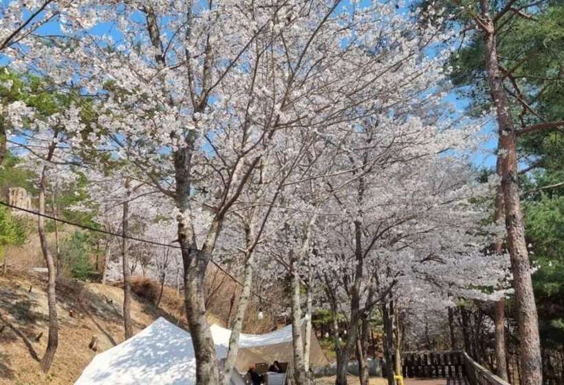 بنسيون Miryang Myway Resort