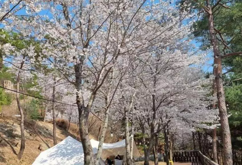 ペンション Miryang Myway Resort