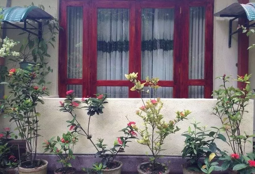 ペンション Yalegoda Walauwa Homestay
