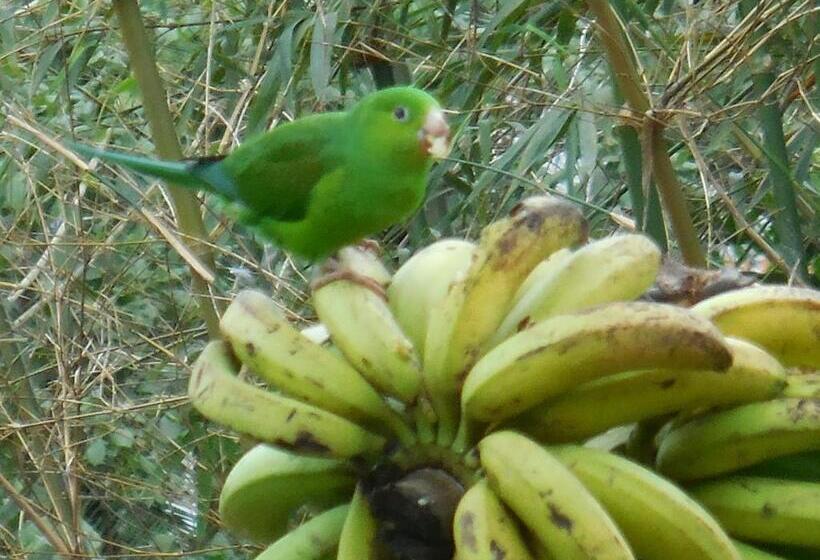 ユースホステル Pousada Canto Verde