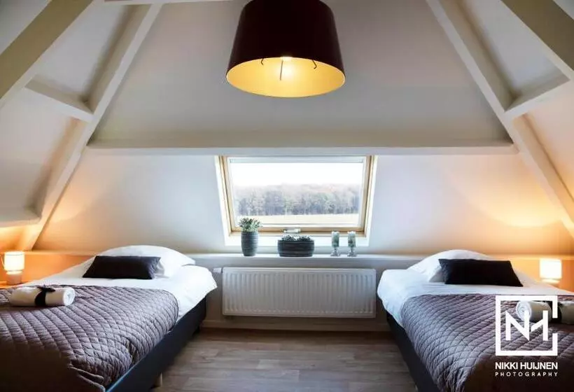 B&b Flamand