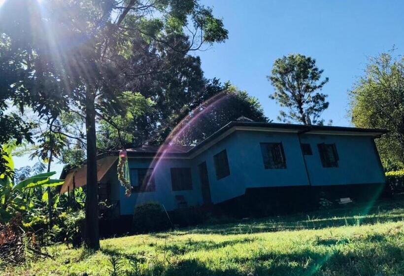 Bed and Breakfast Mkally Homes