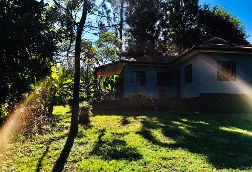 Bed and Breakfast Mkally Homes