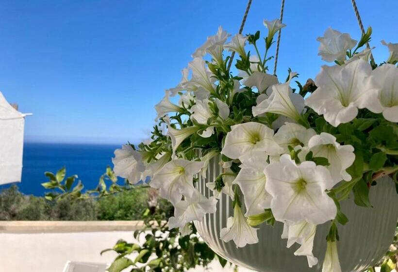 צימר Puerto Escondido