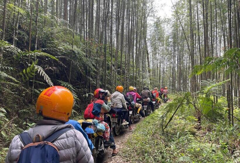 تختخواب و صبحانه Wind S House Ha Giang