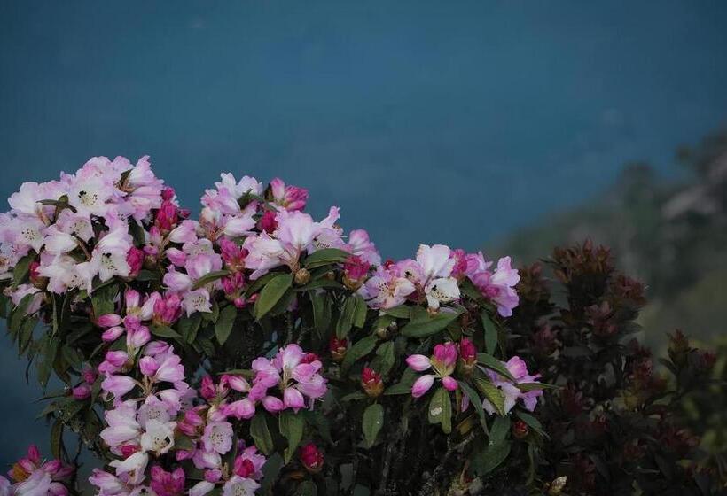 تختخواب و صبحانه Wind S House Ha Giang