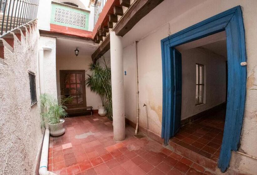 پانسیون Alonso53