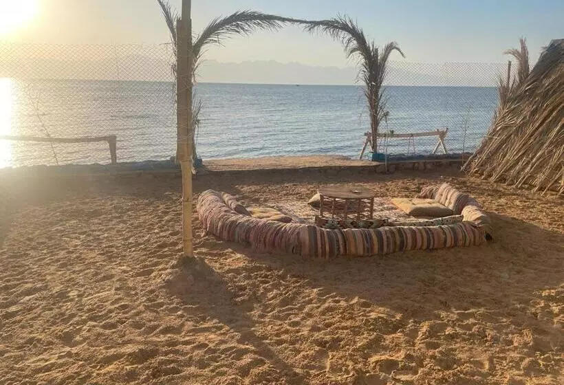 تختخواب و صبحانه Perry’s Island Camp Al Mezina