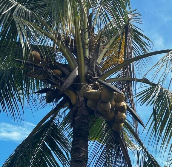 ペンション Comfy Cottages In Saligao