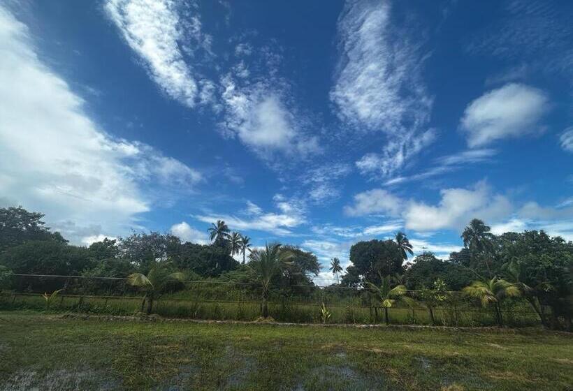 ペンション Comfy Cottages In Saligao