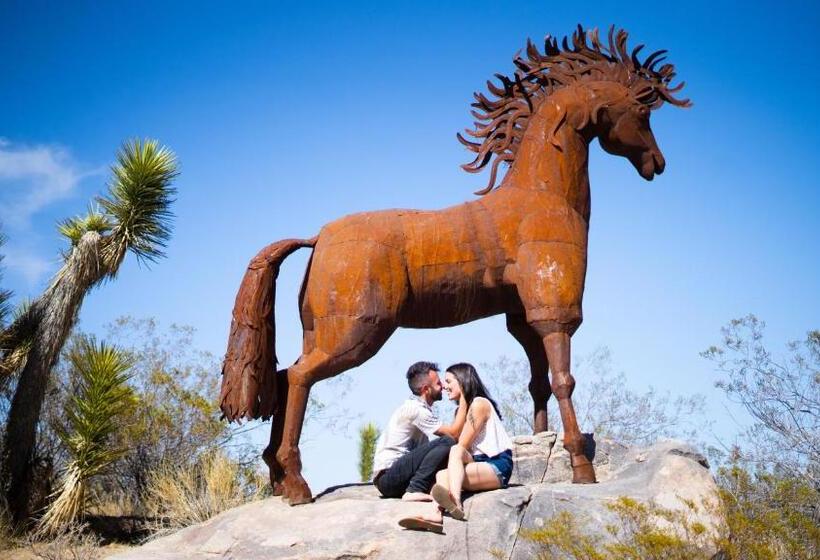 بنسيون Wind Hill