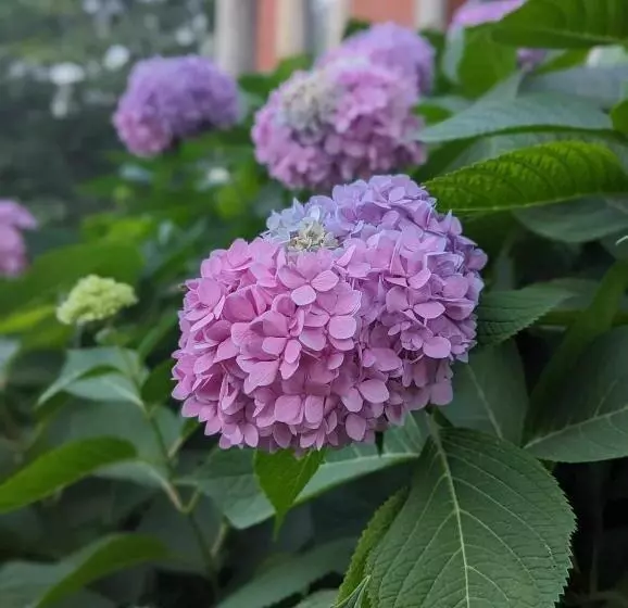 The Vistula Rose B & B