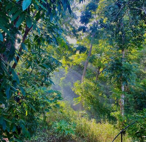 Balai Benedicere Bed & Breakfast