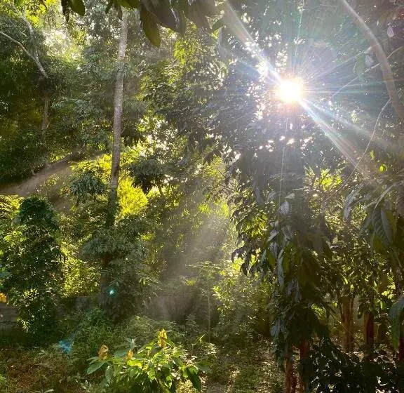 Balai Benedicere Bed & Breakfast