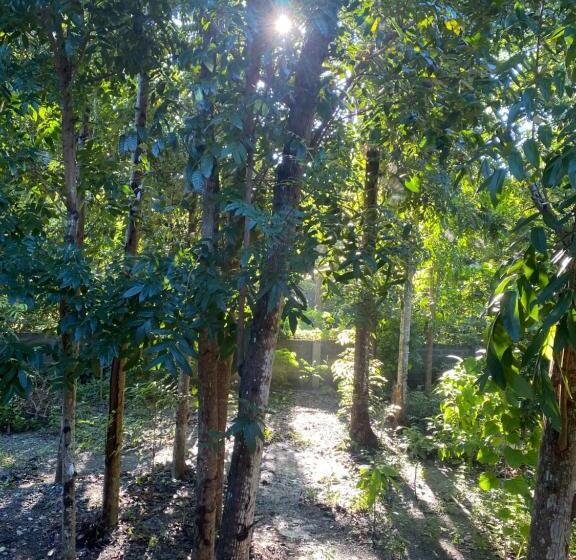 Balai Benedicere Bed & Breakfast