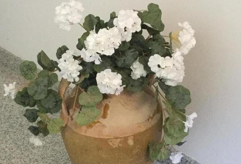 تختخواب و صبحانه Dimora Gentile