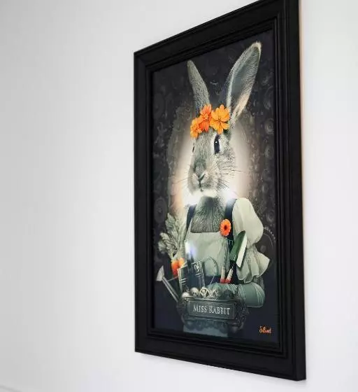 Aamiaismajoitus (B&B) Le Domaine De La Rhonelle