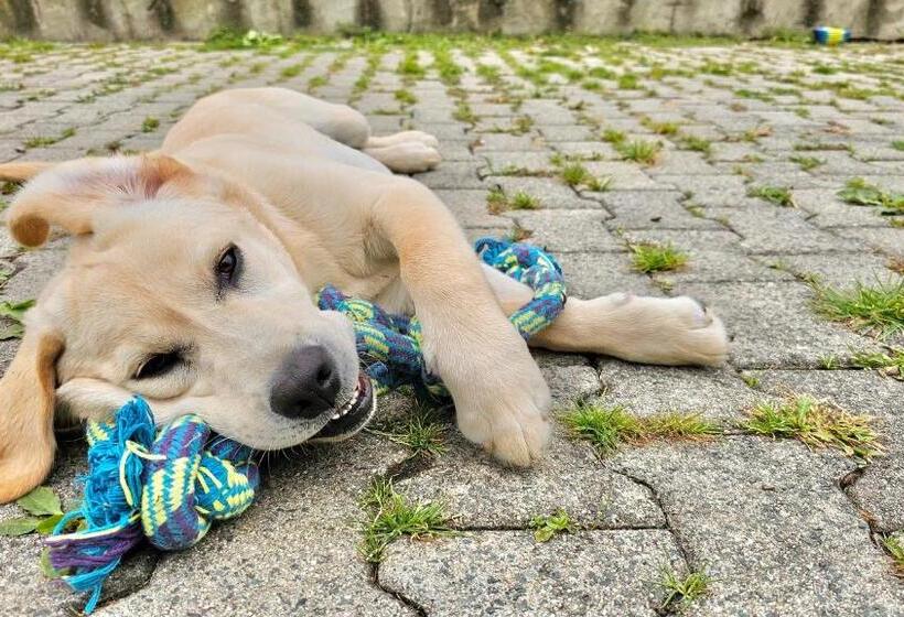 ベッドアンドブレックファースト Les Chambres D Hôtes La Guiberdière