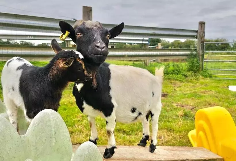 ベッドアンドブレックファースト Les Chambres D Hôtes La Guiberdière