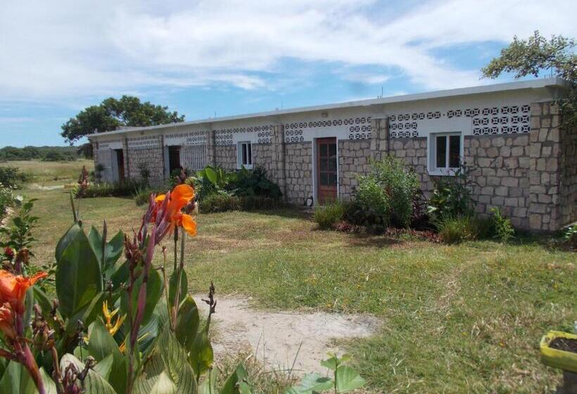 Отель Permakite