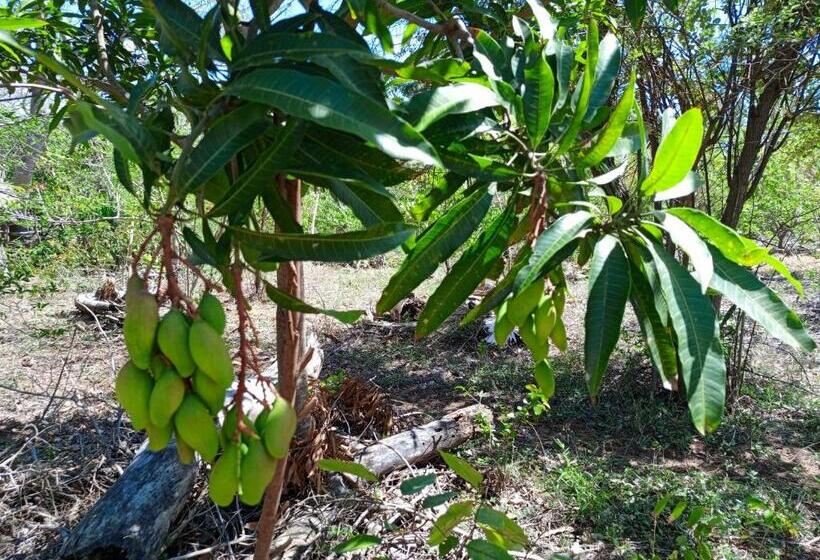 Отель Permakite