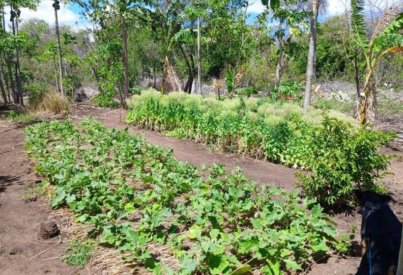 Отель Permakite