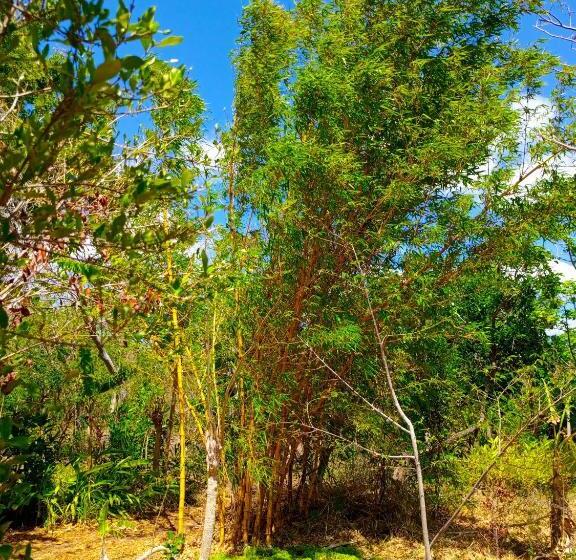 Отель Permakite