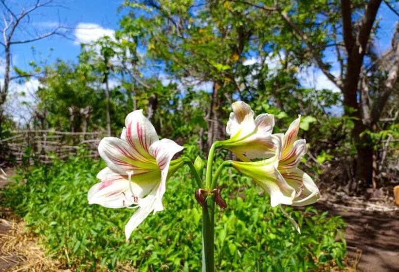 Отель Permakite