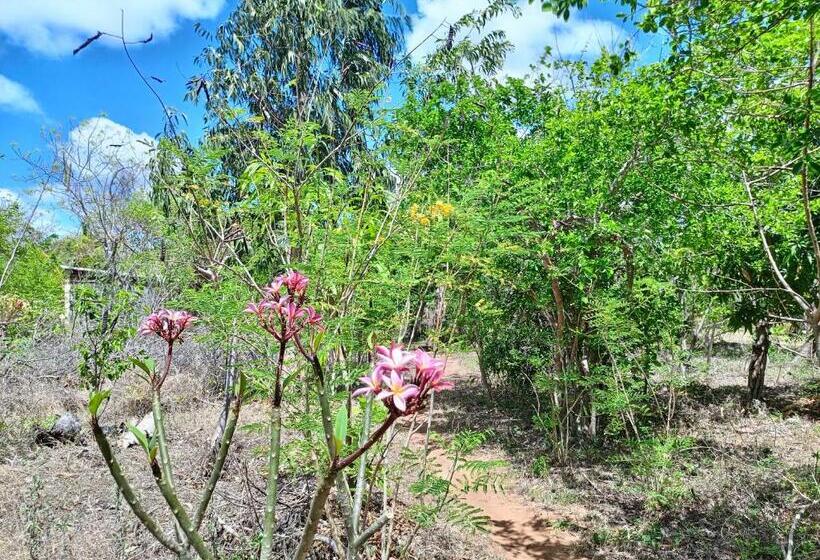 Отель Permakite