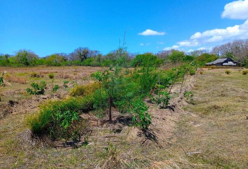 Отель Permakite