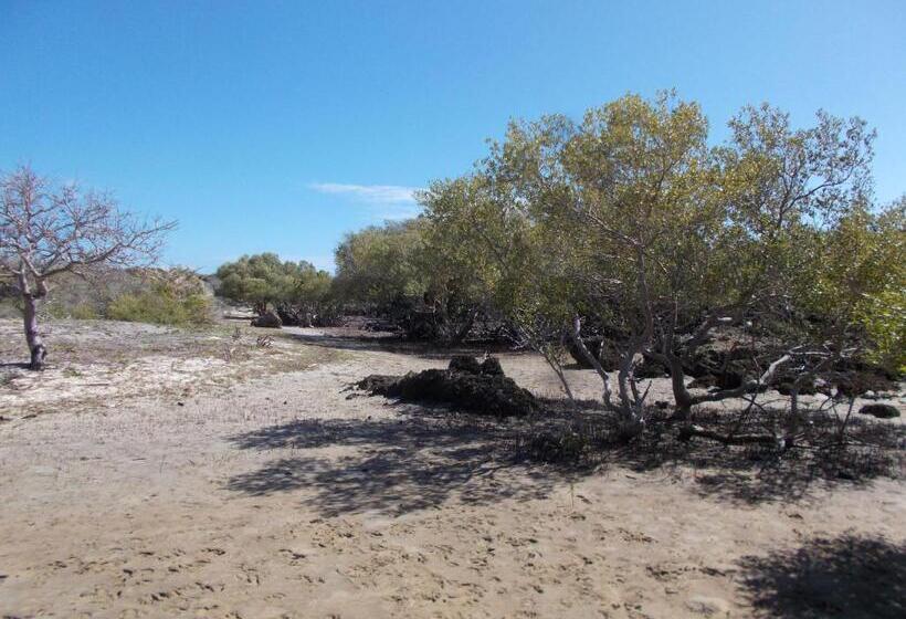 Отель Permakite